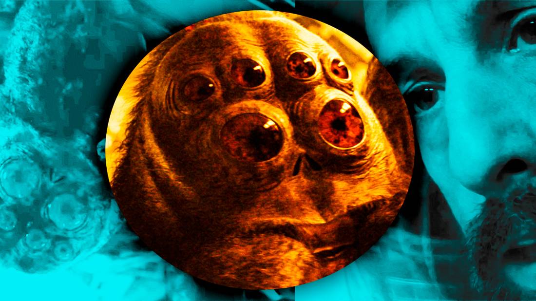 Is Hanus the Spider Real in Spaceman?