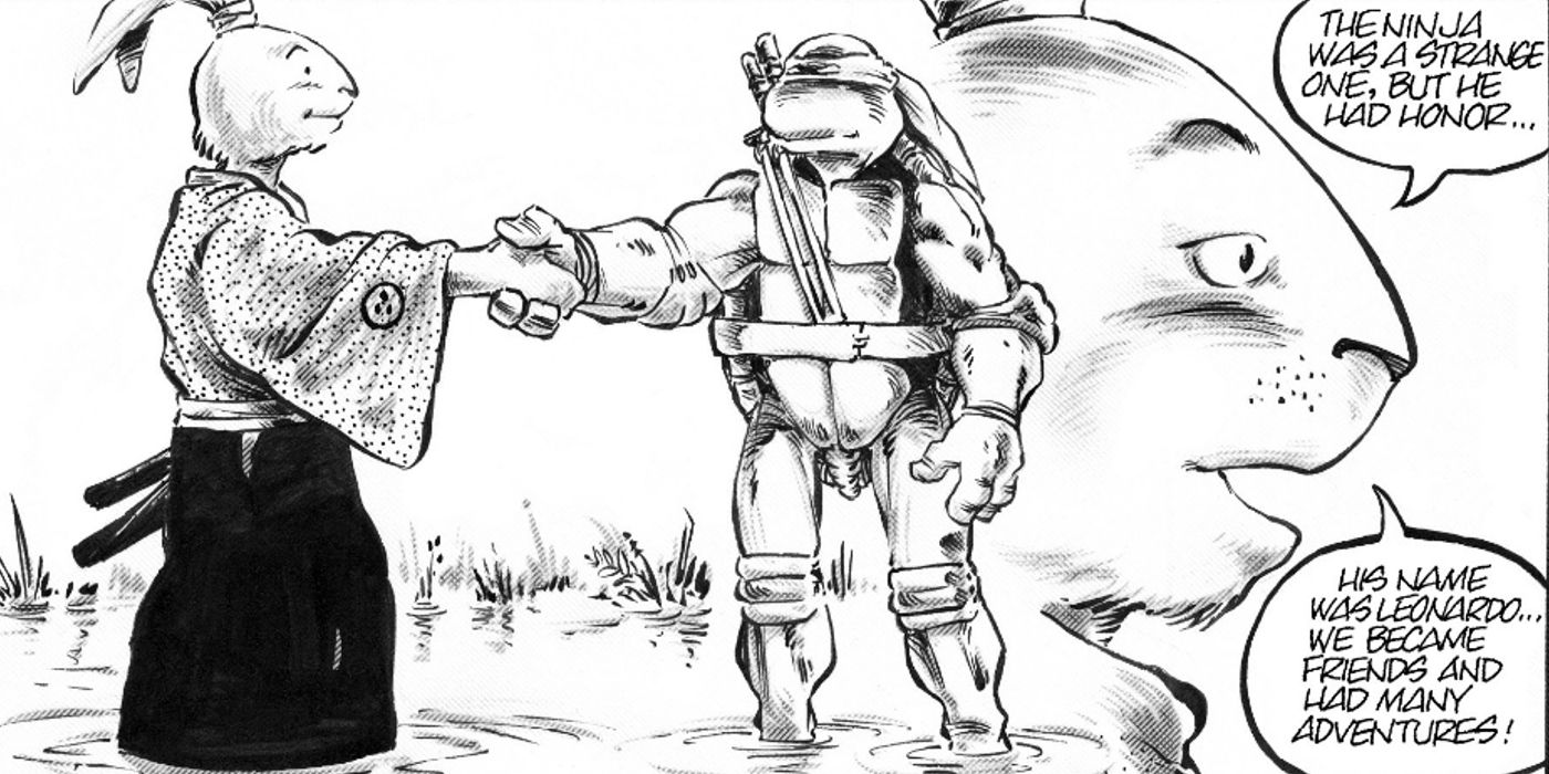 15 Coolest Teenage Mutant Ninja Turtles Characters