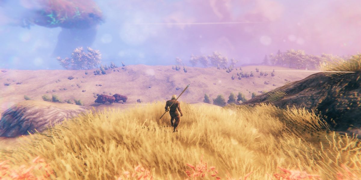 Jogador olhando para um campo colorido de Valheim.