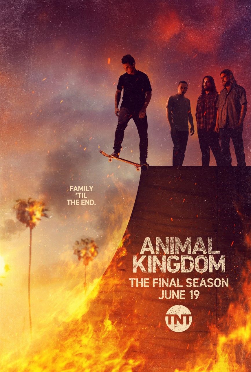 Animal Kingdom TV Show Poster