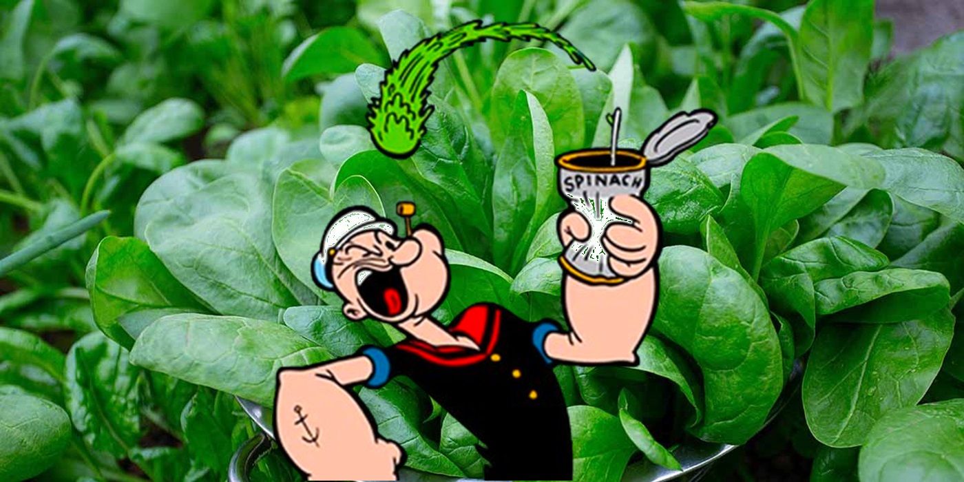 Popeye eating spinach in front of a spinach background