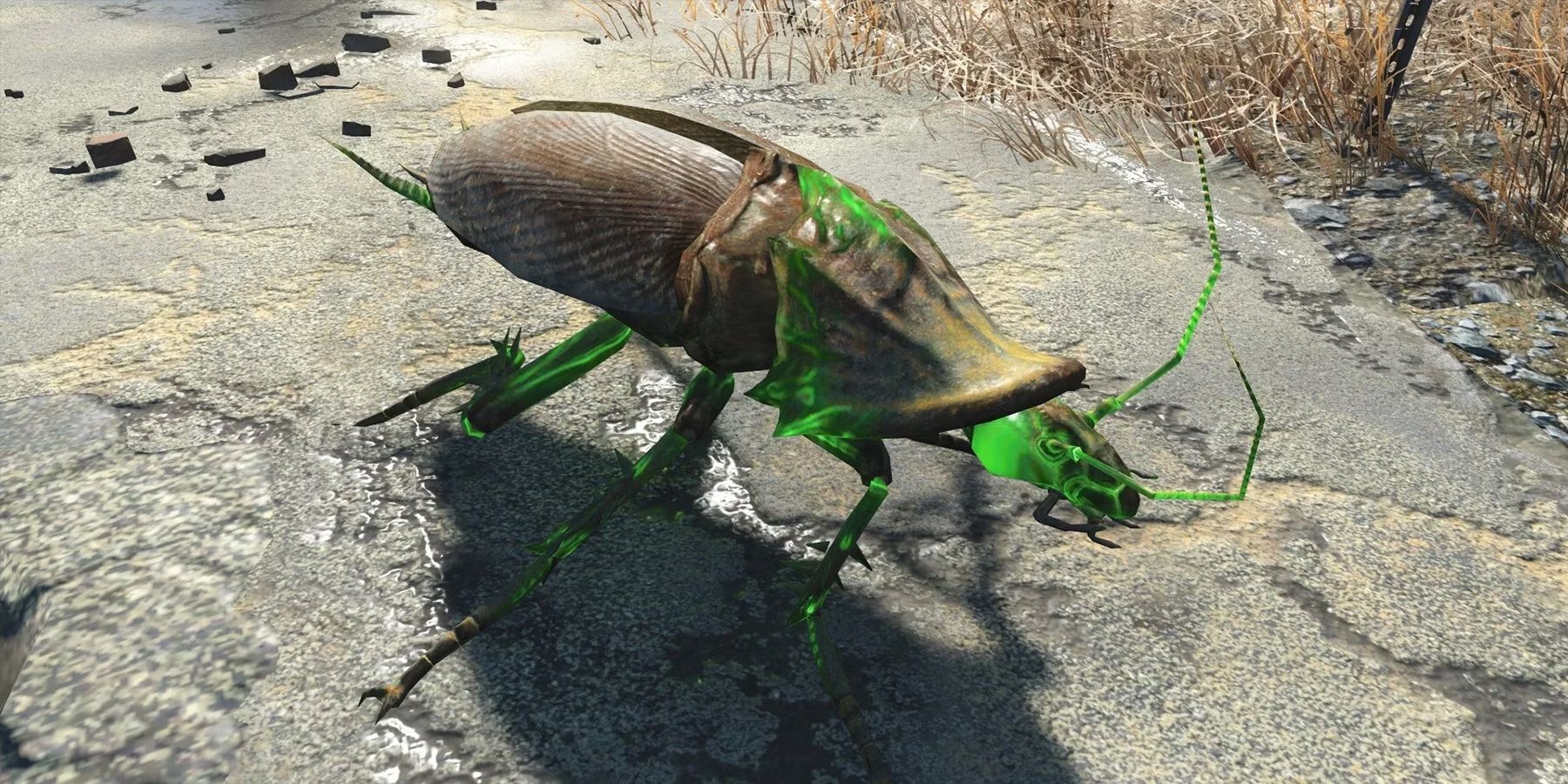 The Coolest Fallout Creatures Fans Want to See in the New TV Series