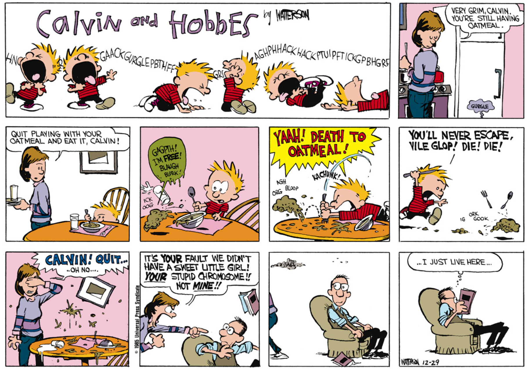 10 Best Calvin & Hobbes Comic Strips for Parents