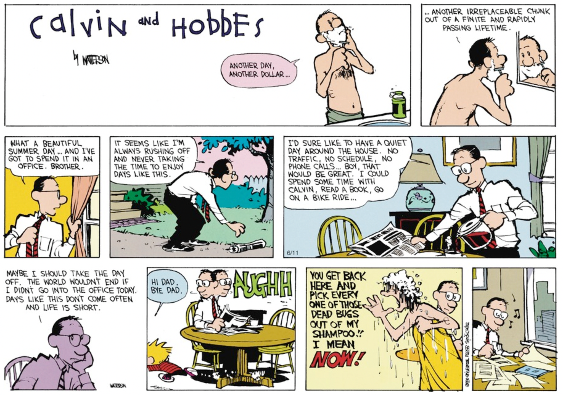 10 Best Calvin & Hobbes Comic Strips for Parents