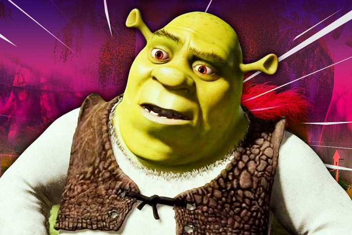 Shrek looking confused.