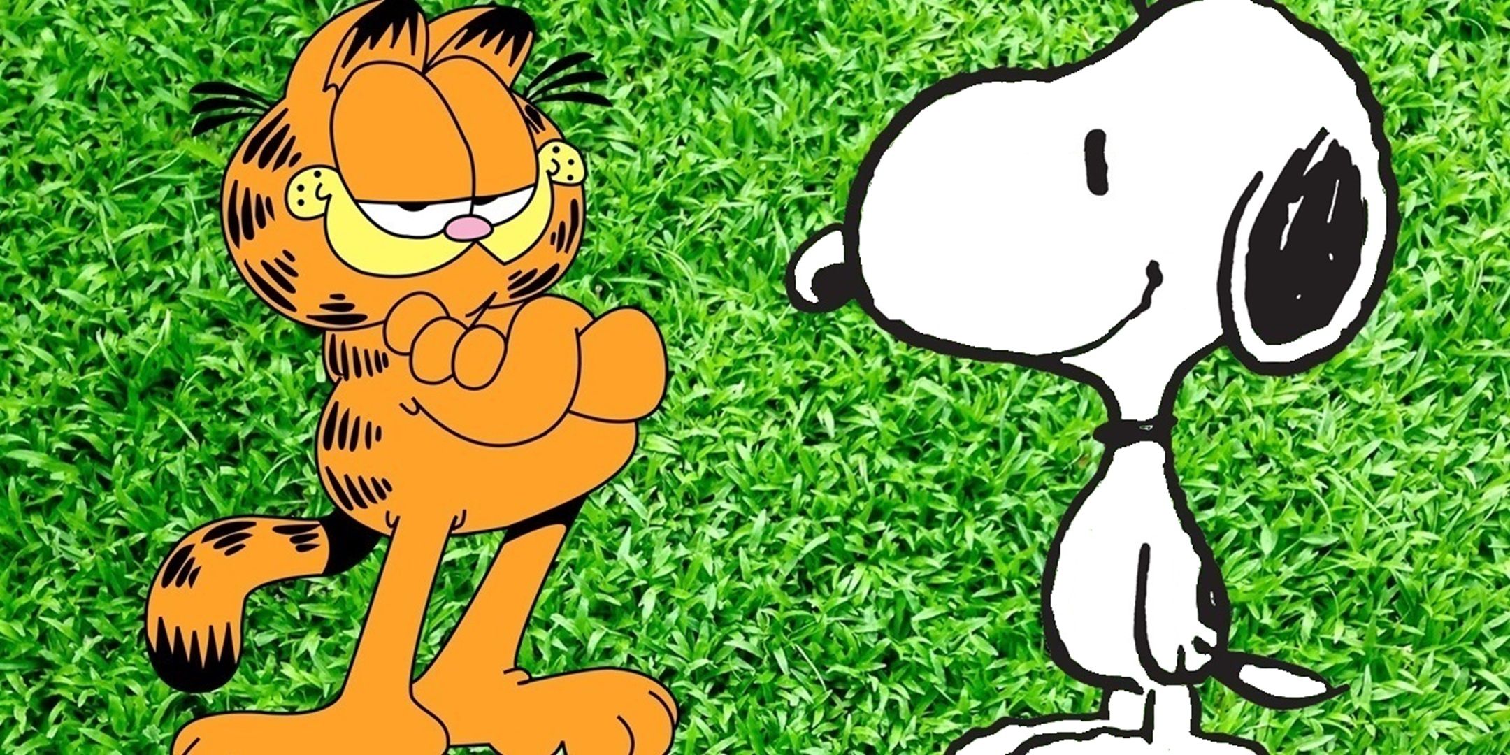 Garfield and Snoopy behind a field gross