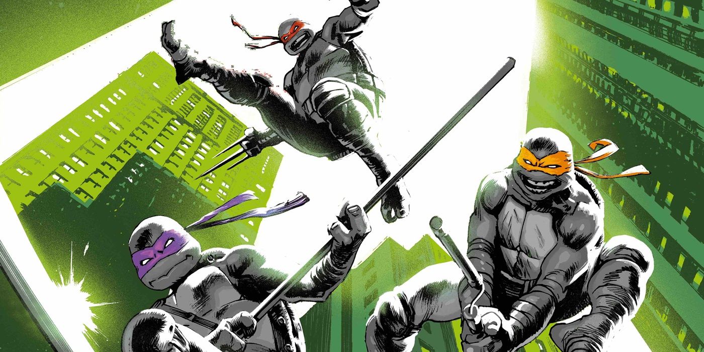Raphael, Michelangelo and Donatello spring into action