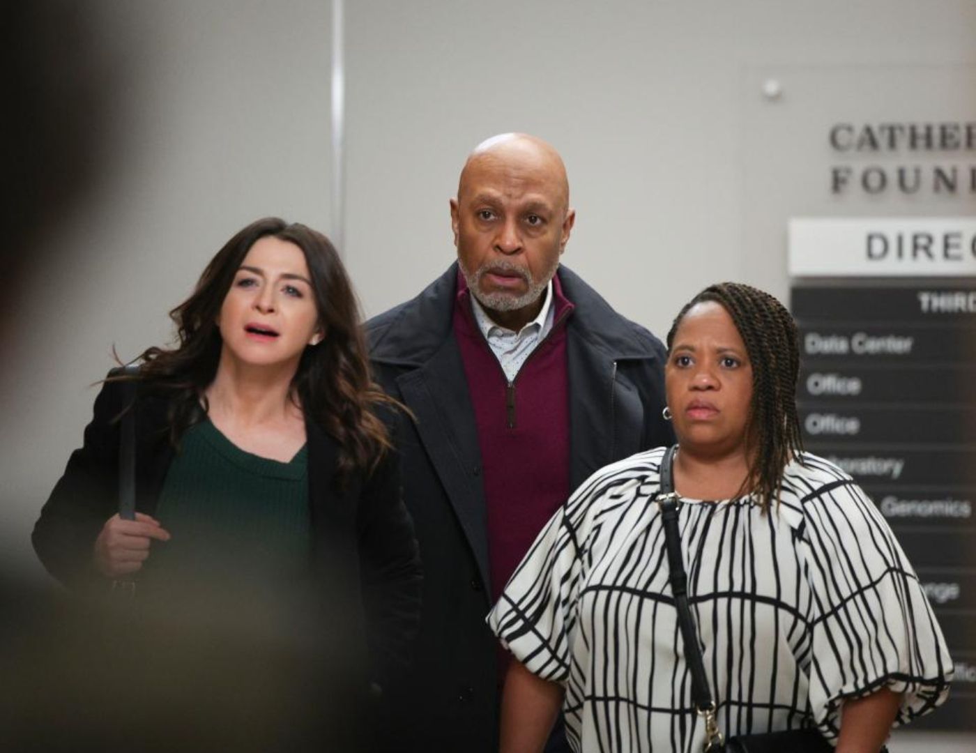 191920 Caterina Scorsone as Amelia Shepherd, James Pickens Jr. as Richard Webber, and Chandra Wilson as Miranda Bailey look at someone in surprise on Grey's Anatomy