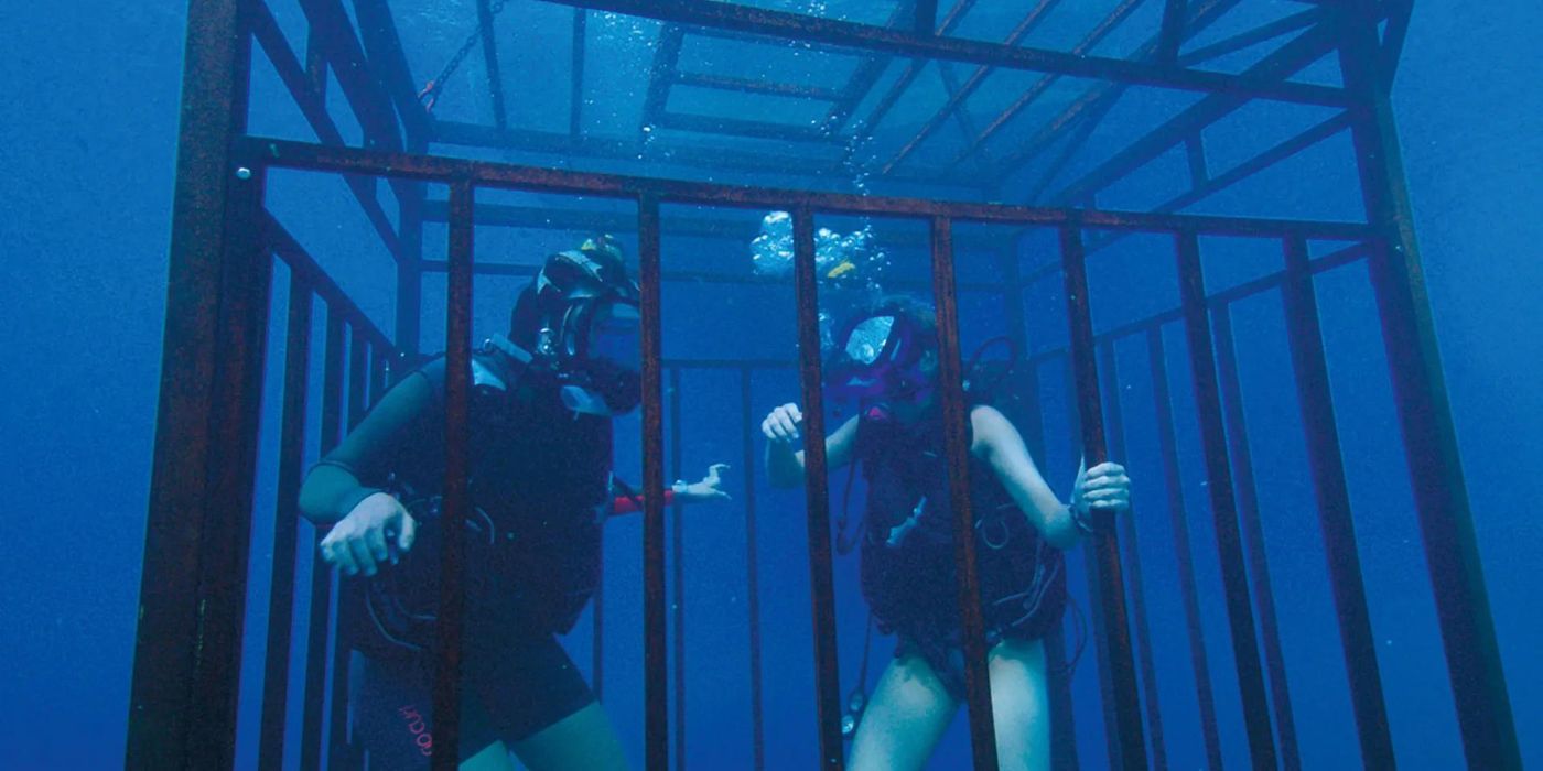 47 Meters Down Is Getting Another Sequel, Plot Details Revealed