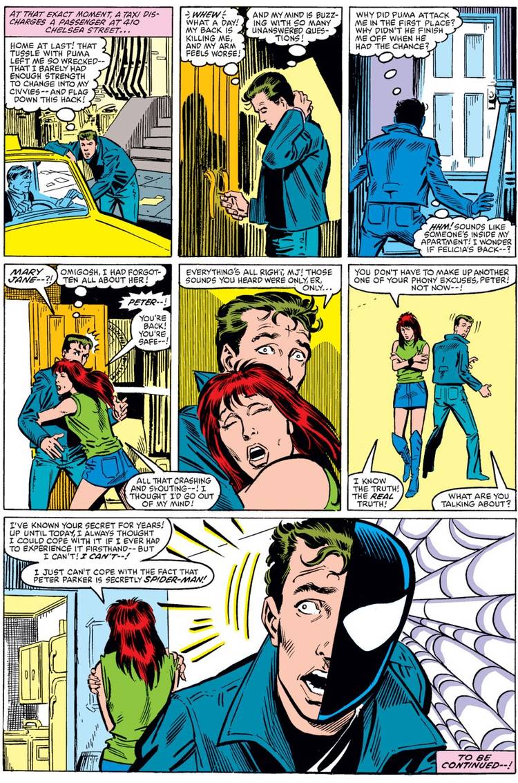 MJ sabe da identidade do Peter ASM 257