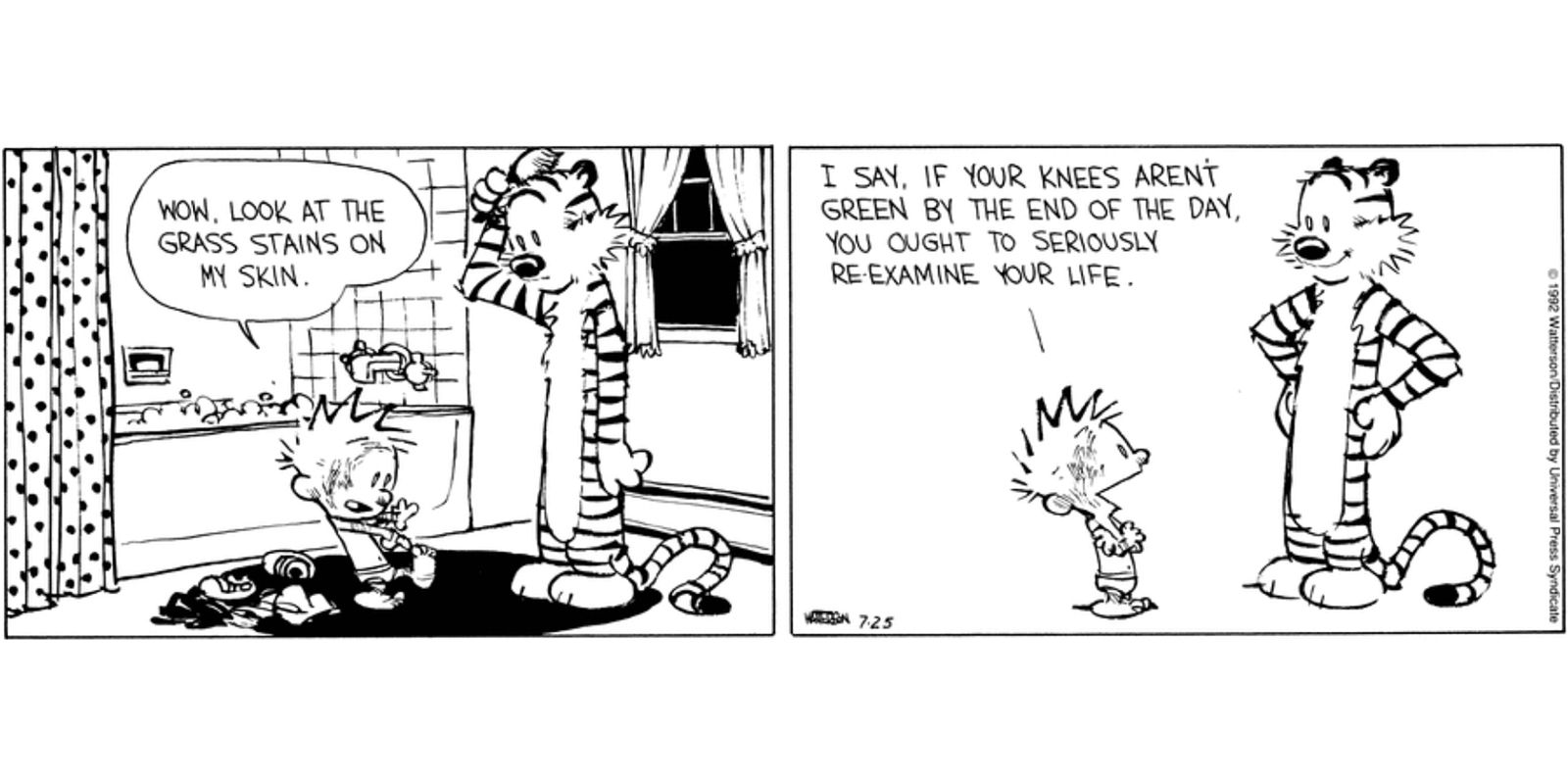 Calvin & Hobbes: 10 Best Philosophies from the Comic Strip