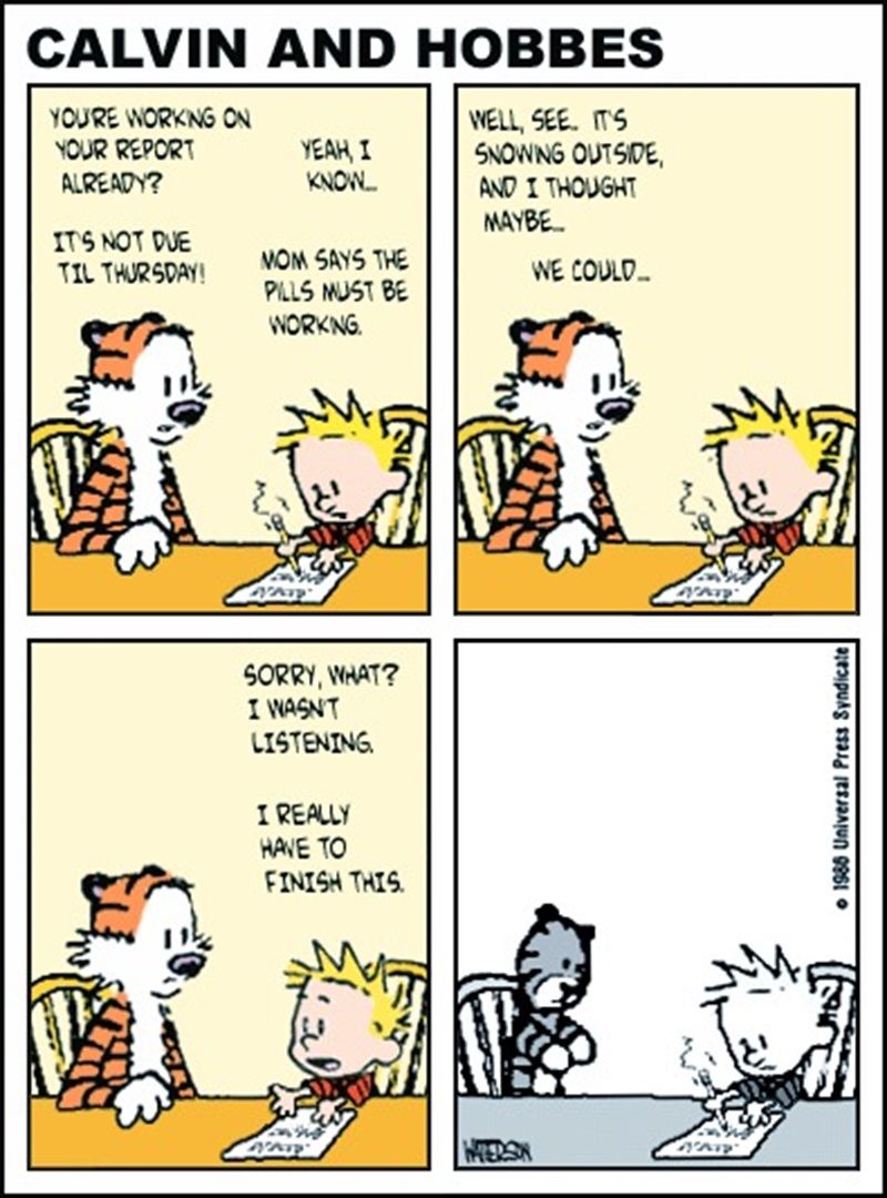 Did a Fake Calvin and Hobbes Comic Strip Sell For Over $14,000?