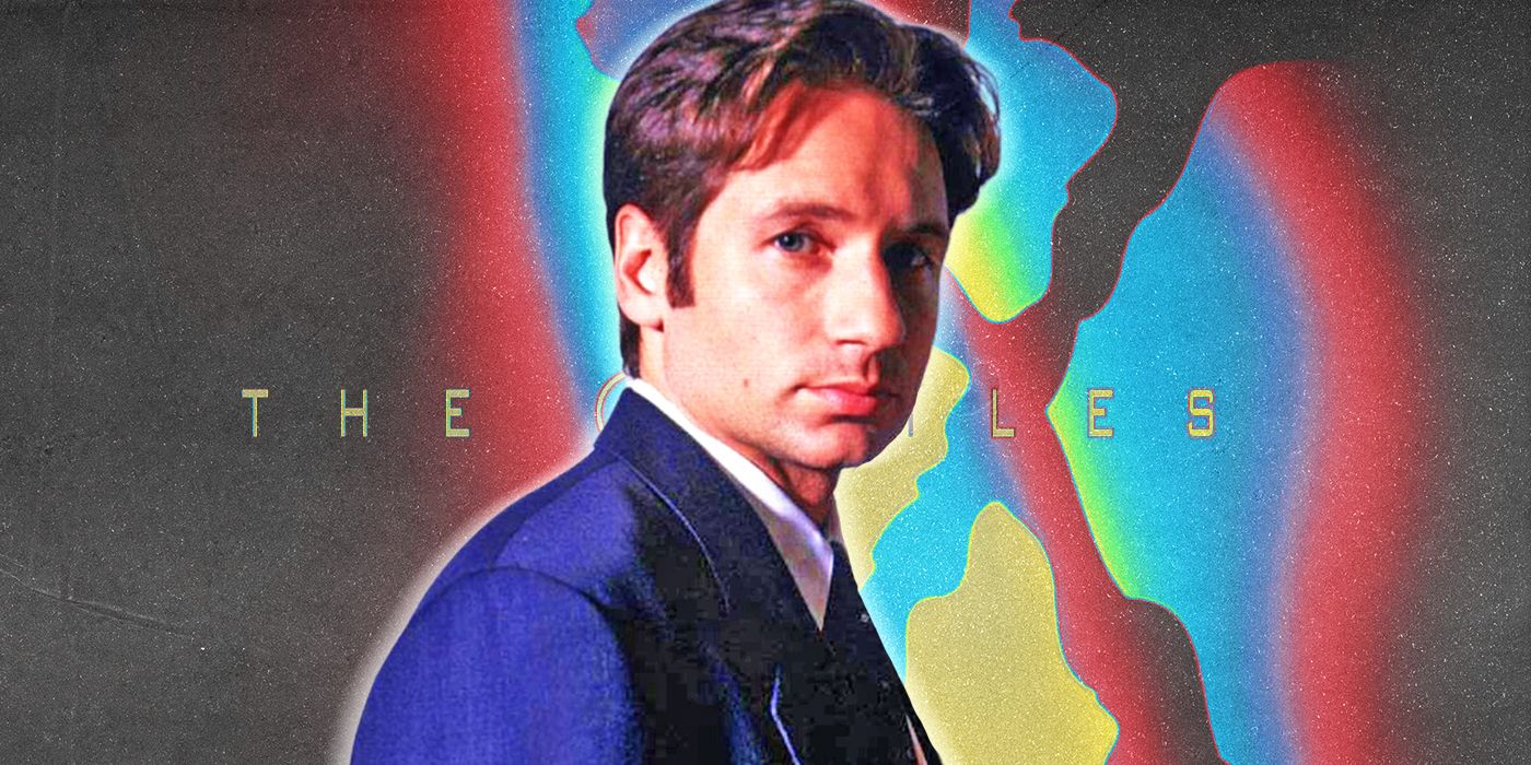 David Duchovny as Mulder The X Files
