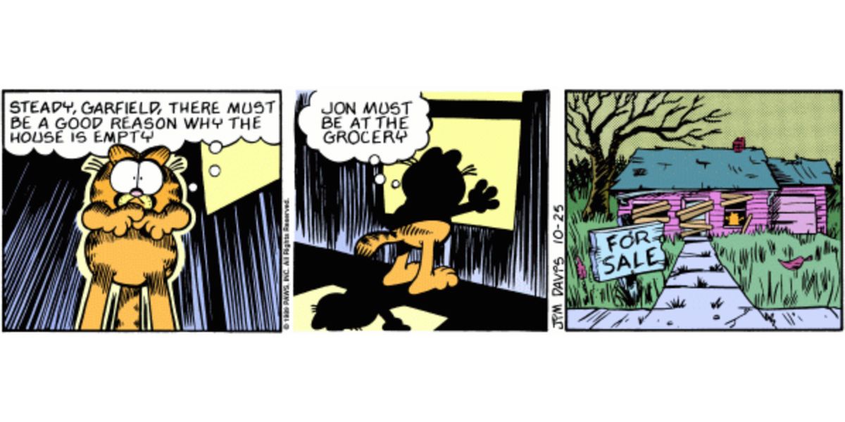 10 Things You Didn't Know About the Garfield Comic Strips