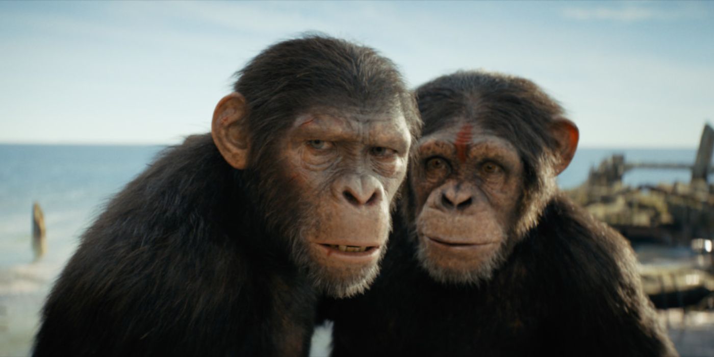Как «Царство планеты обезьян» улучшает противоречивый фильм об обезьянах