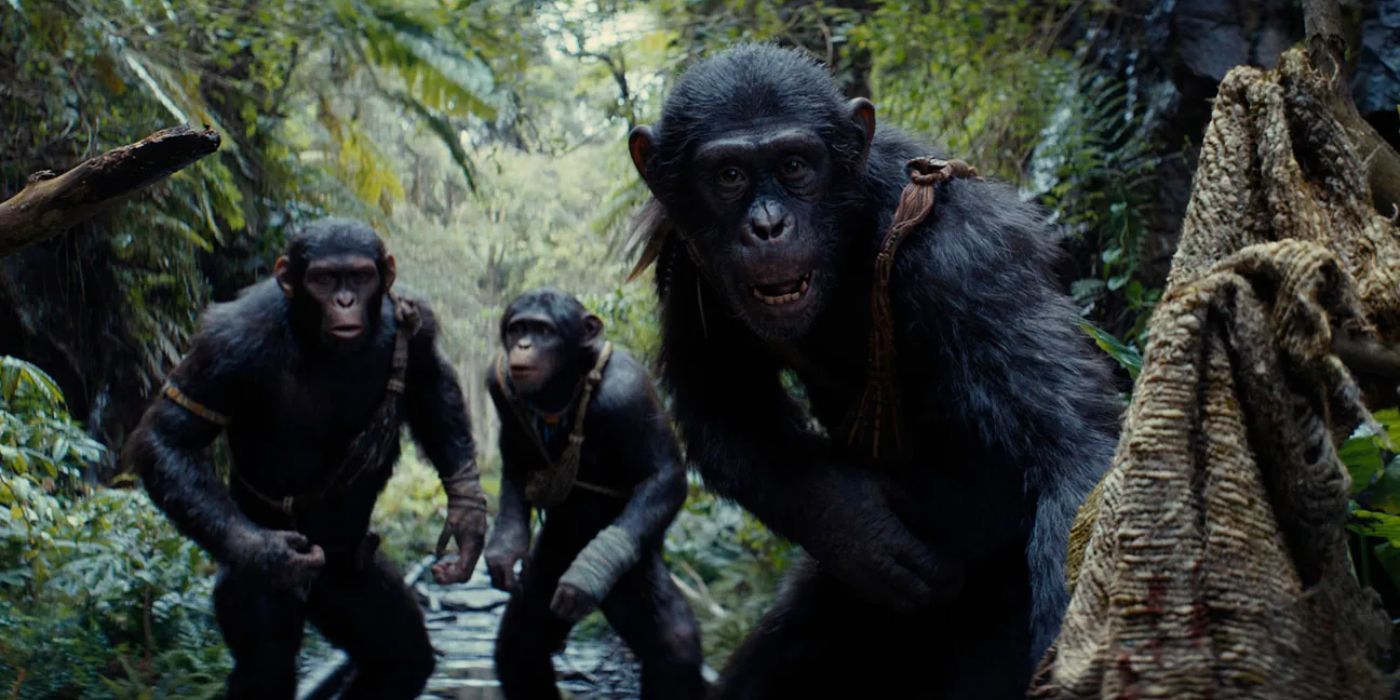 Noa, Soona, and Anaya in Kingdom of the Planet of the Apes