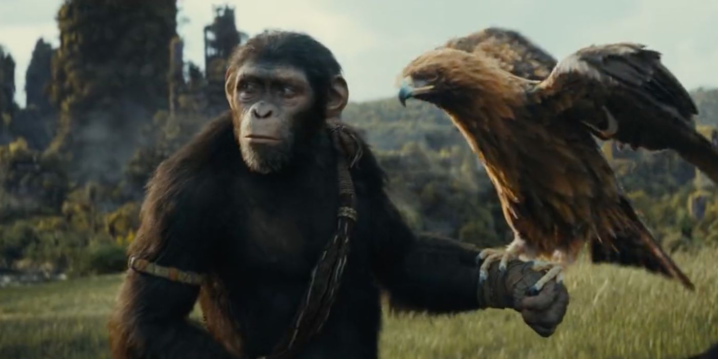 Обзор «Королевства планеты обезьян»: Наследие Цезаря натравливает обезьяну на обезьяну
