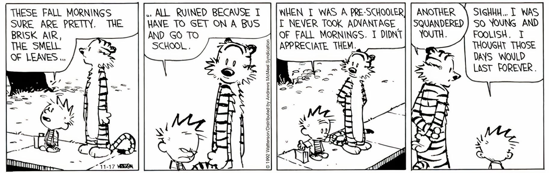 10 Calvin and Hobbes Jokes We Only Got As Adults