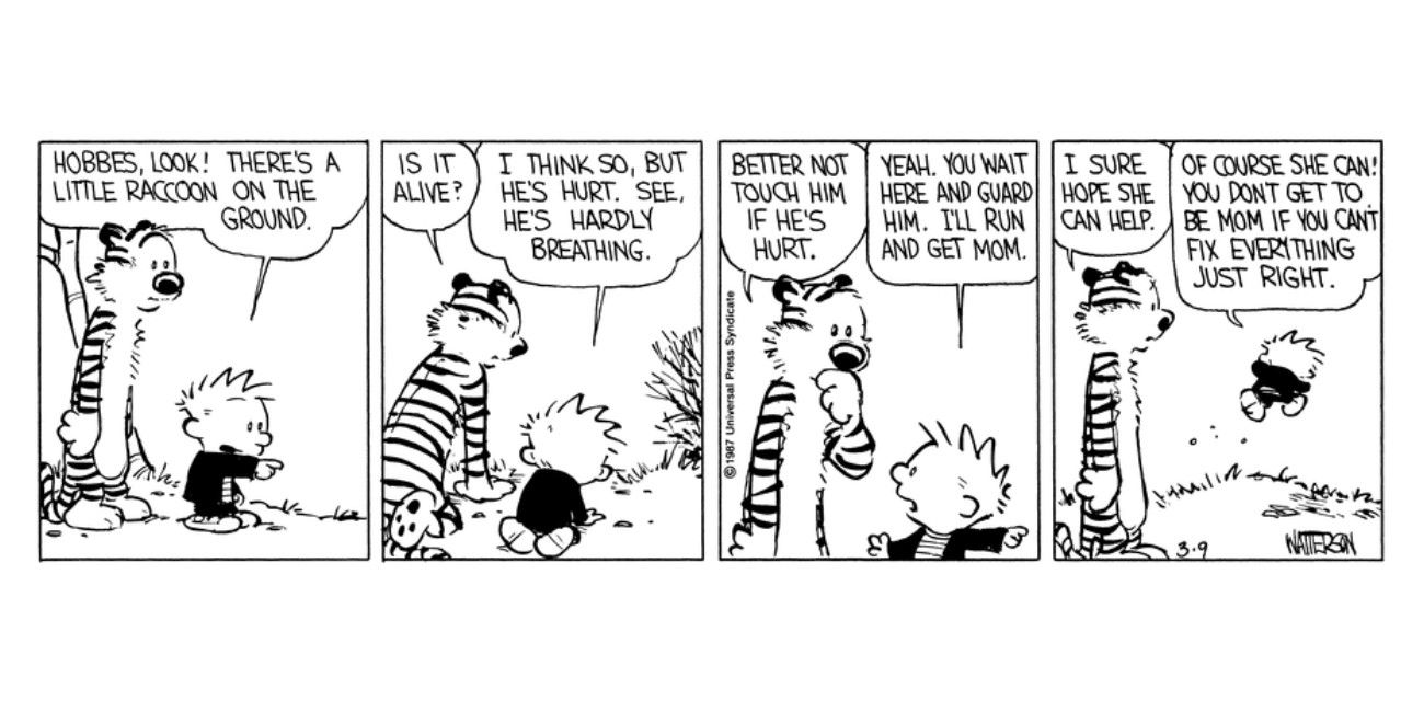 Every Time Calvin & Hobbes Broke Our Hearts