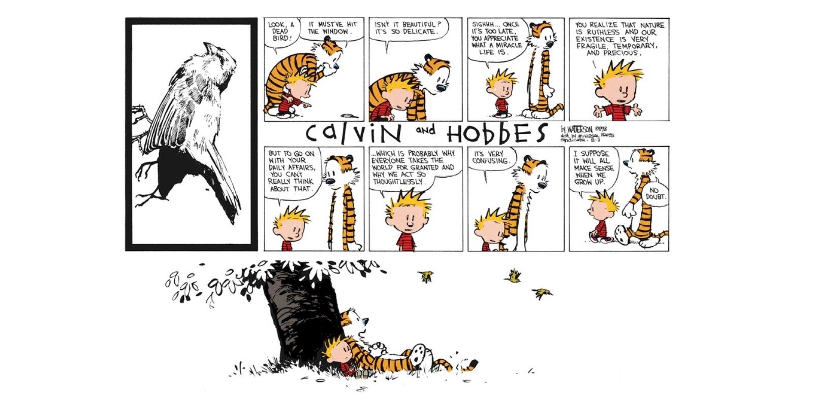 Every Time Calvin & Hobbes Broke Our Hearts