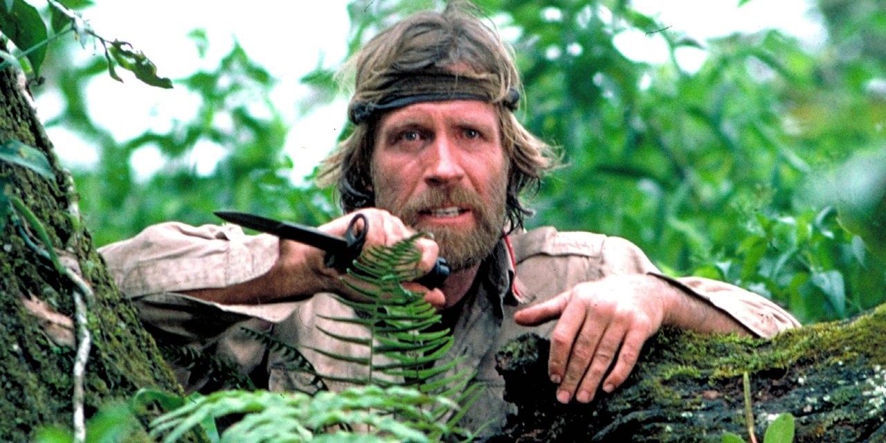 10 Best Chuck Norris Movies, Ranked