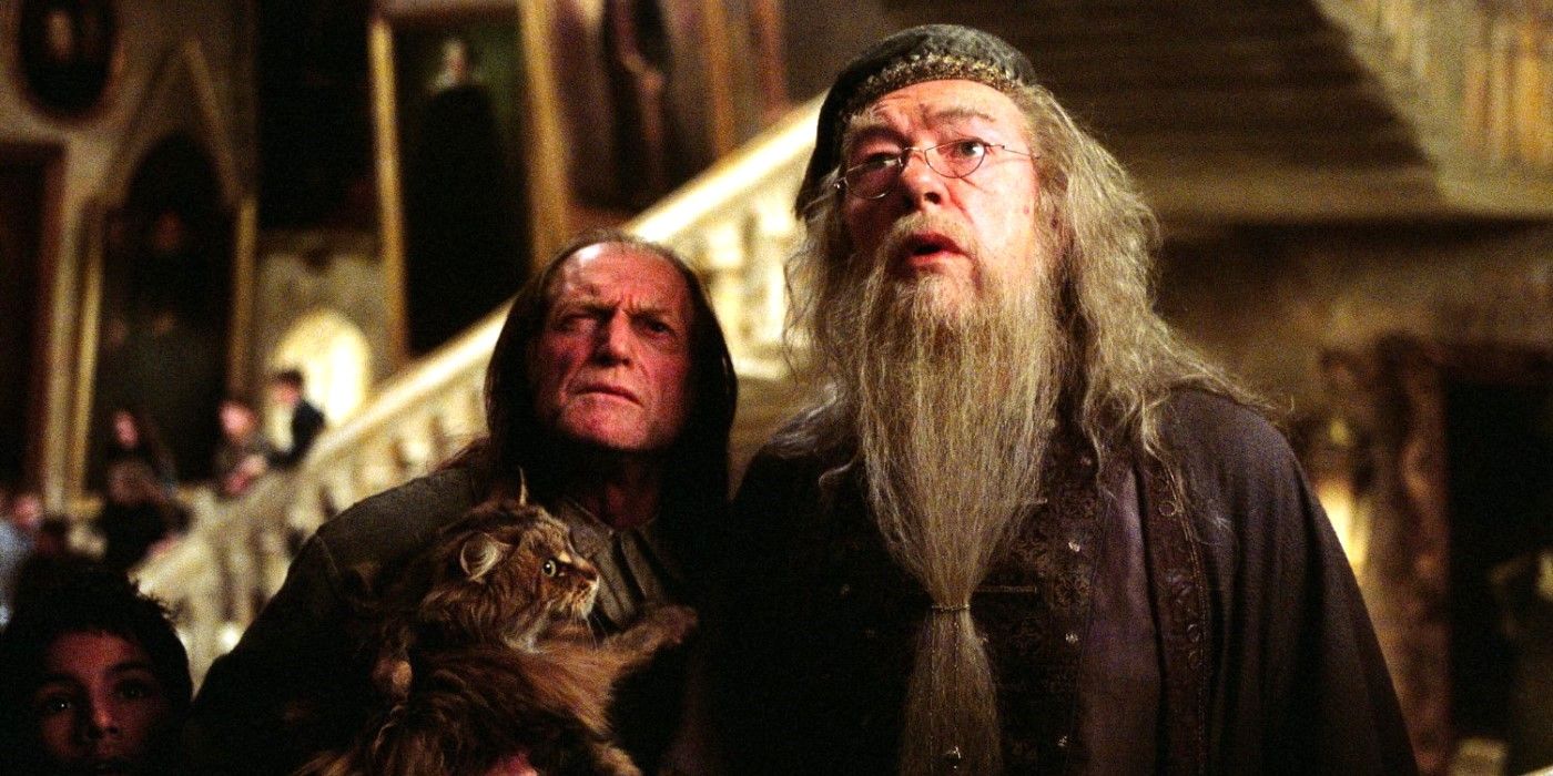 Top 10 Harry Potter Characters, Ranked by Screen Time