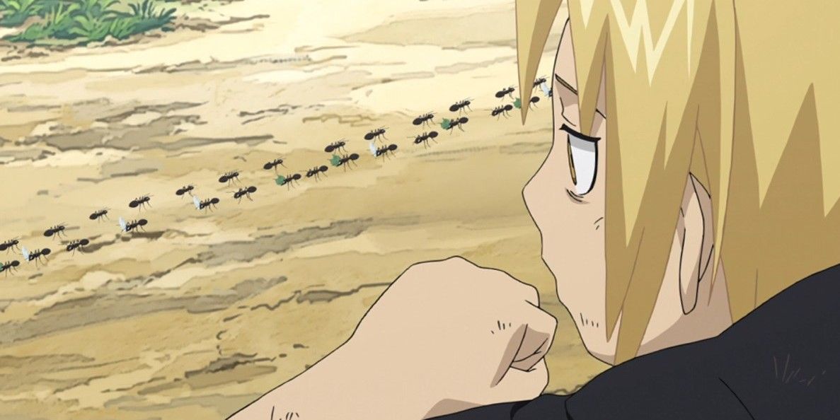 Fullmetal Alchemist: Brotherhood Episode 12 Review