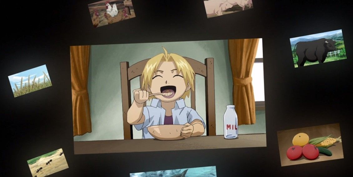 Fullmetal Alchemist: Brotherhood Episode 12 Review