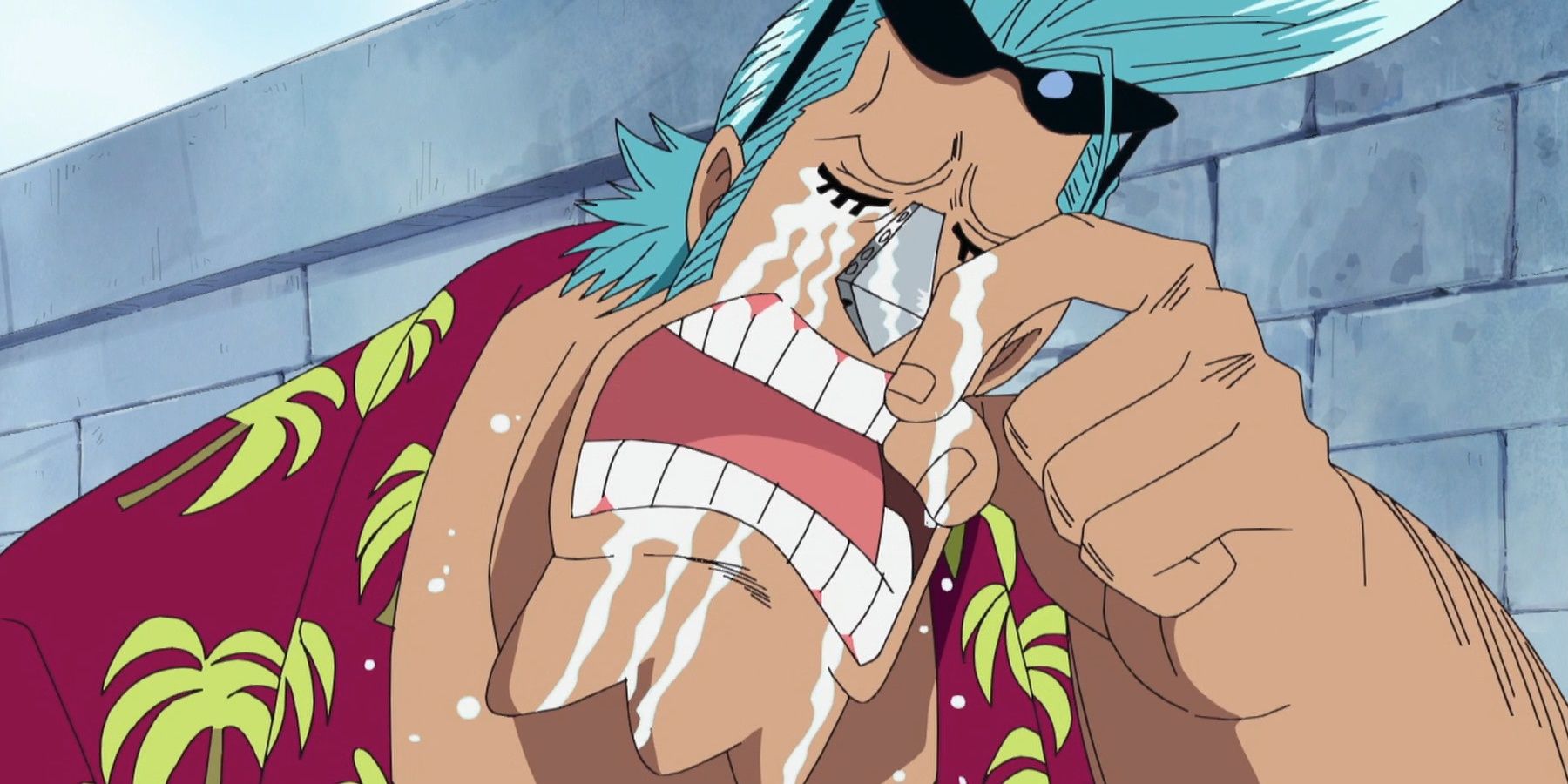 The Straw Hat Pirates from One Piece, Ranked by Growth