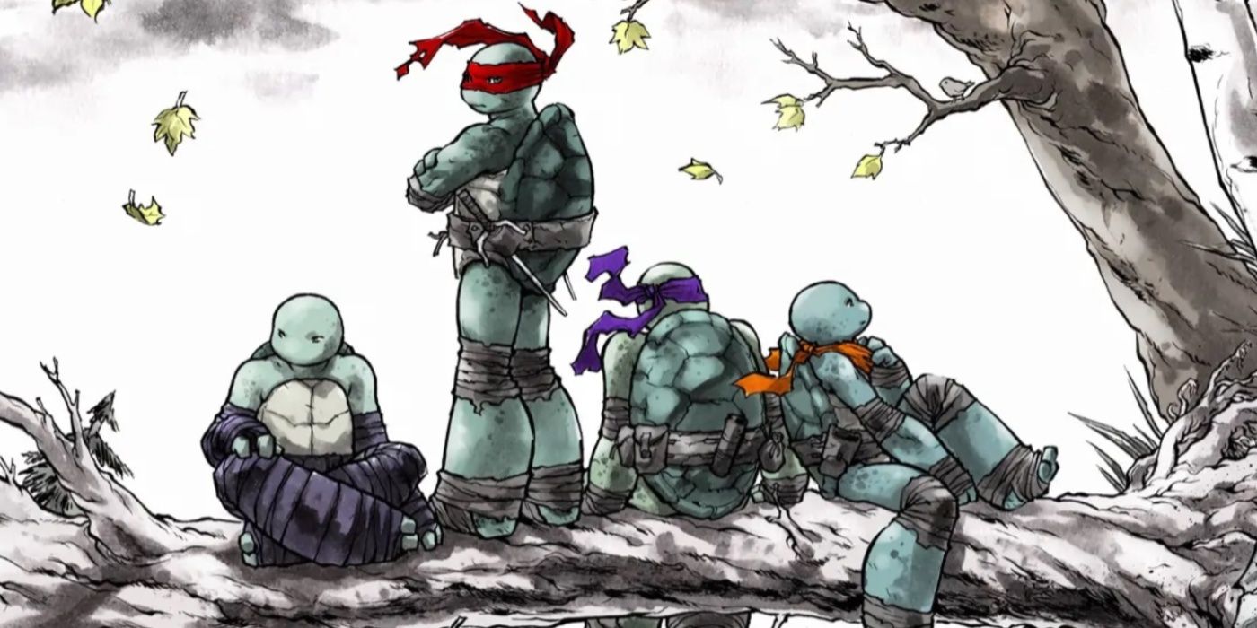 10 Best TMNT Comic Story Arcs from IDW, Ranked