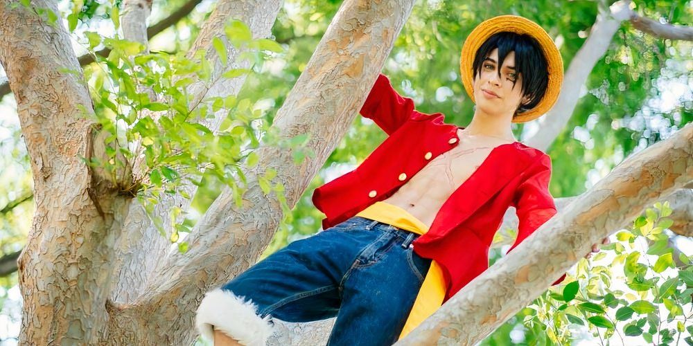 monkey_d__luffy_by_m0nkey_d_luffy_d9n0w42 is cosplaying as Luffy in a tree.