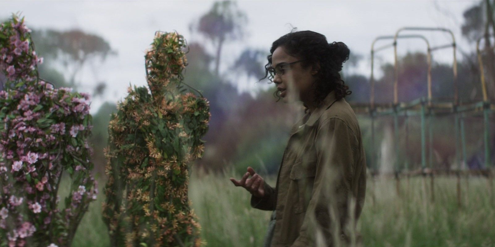 Mutated plants in Annihilation