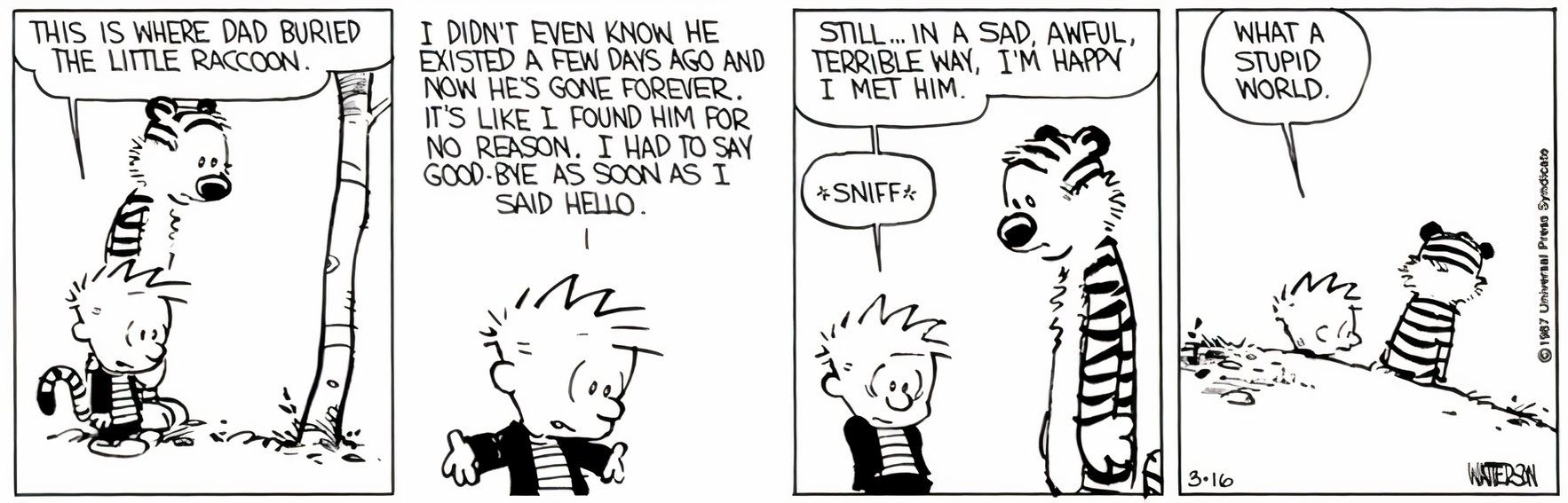 10 Calvin and Hobbes Strips Without a Punchline