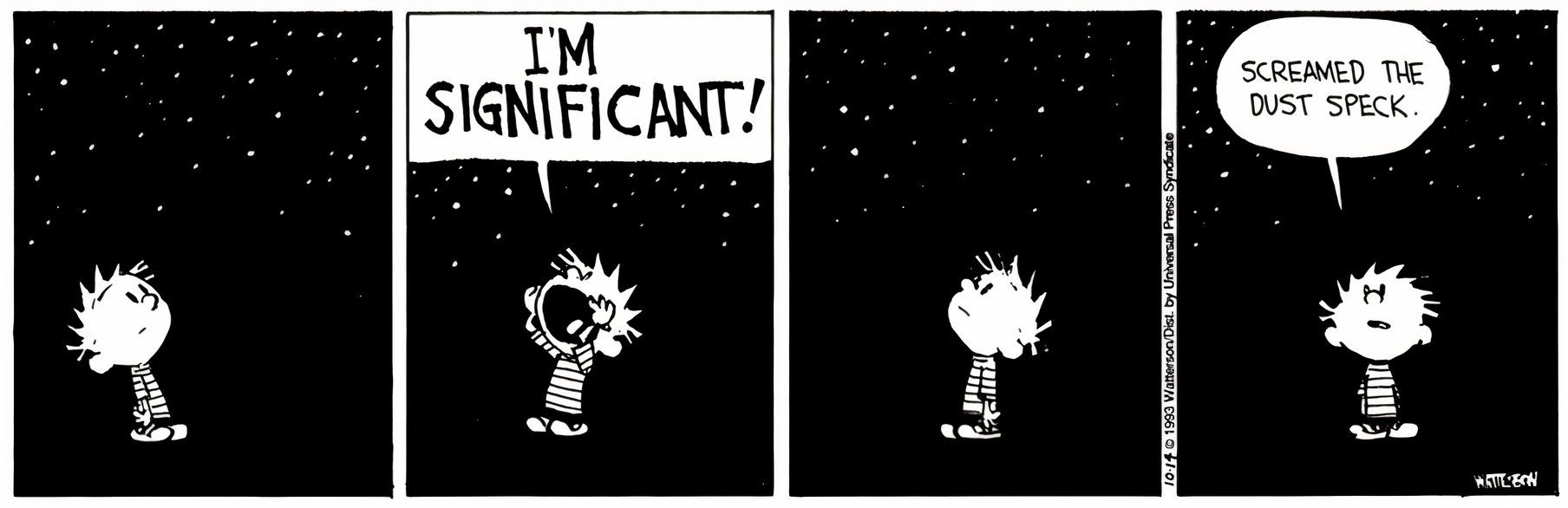 10 Calvin and Hobbes Strips Without a Punchline