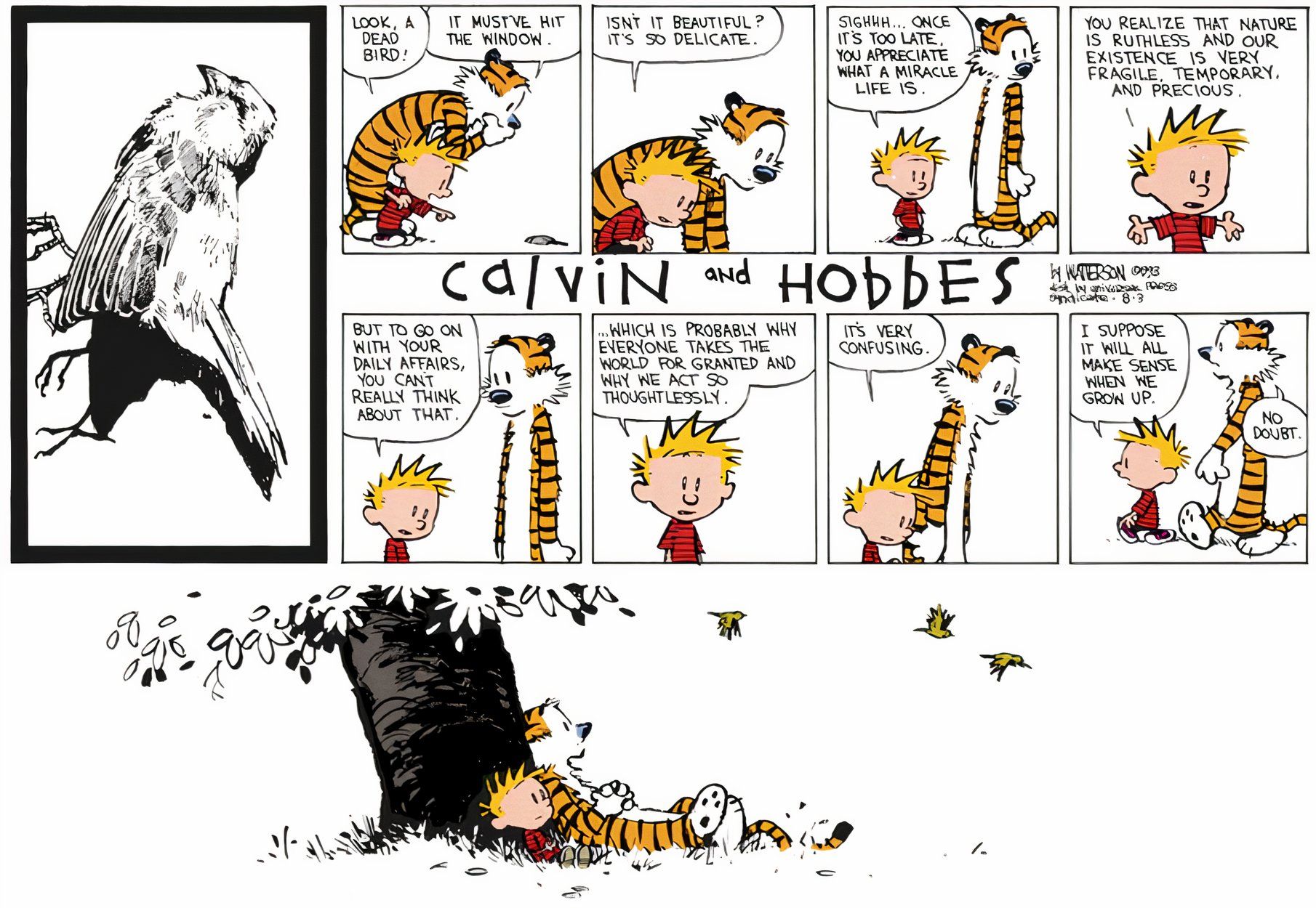 10 Calvin and Hobbes Strips Without a Punchline