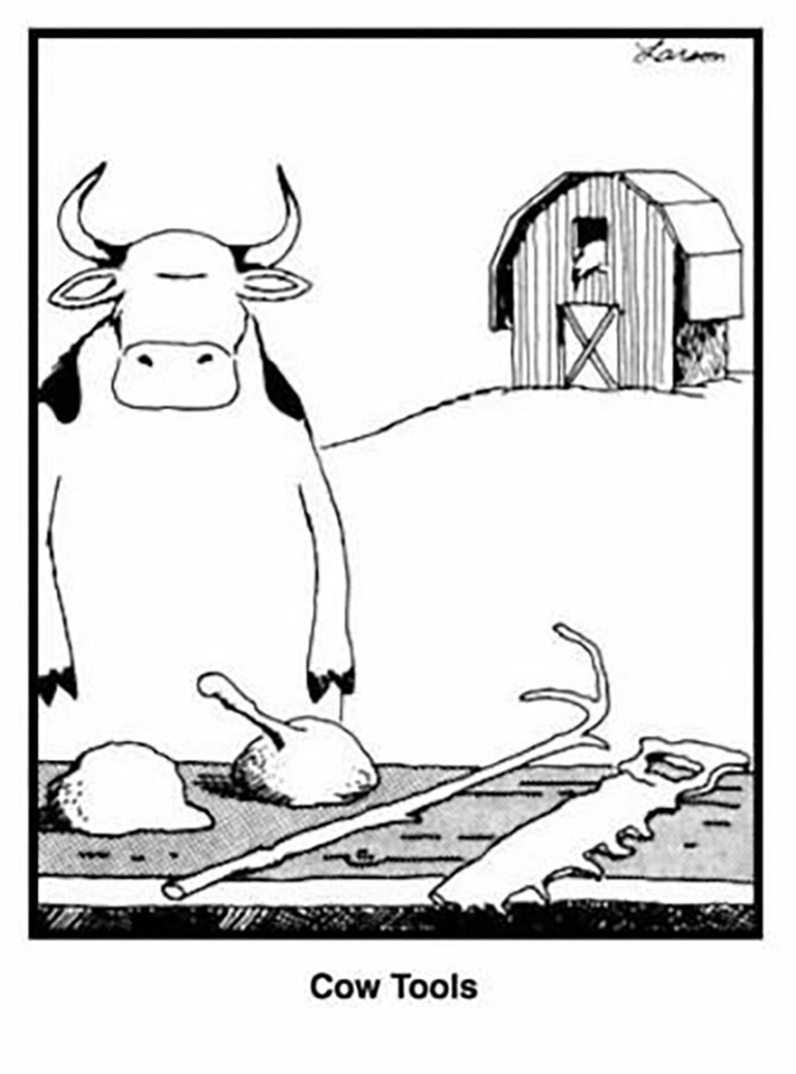 10 Weirdest The Far Side Comics, Ranked