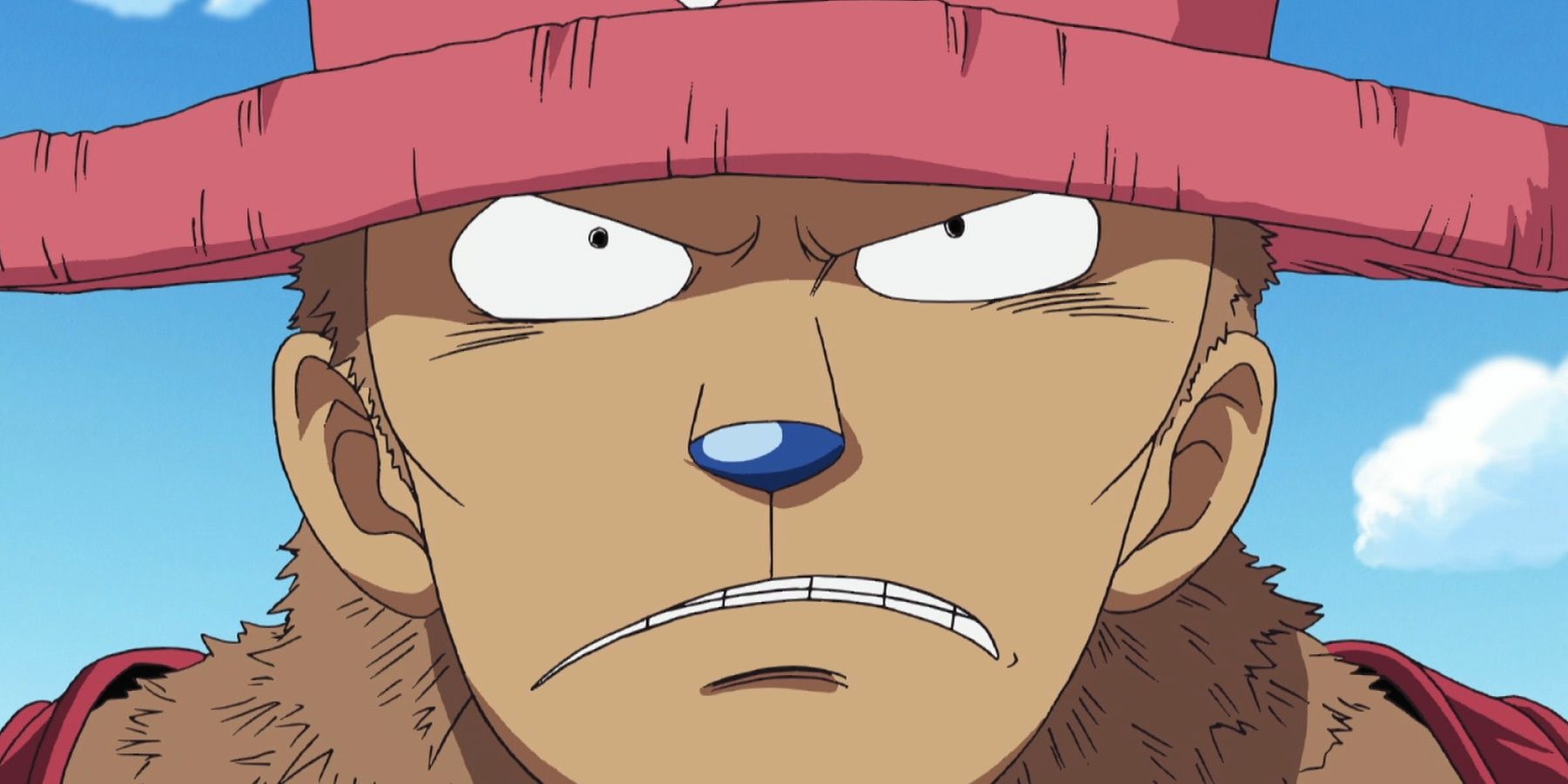 The Straw Hat Pirates from One Piece, Ranked by Growth