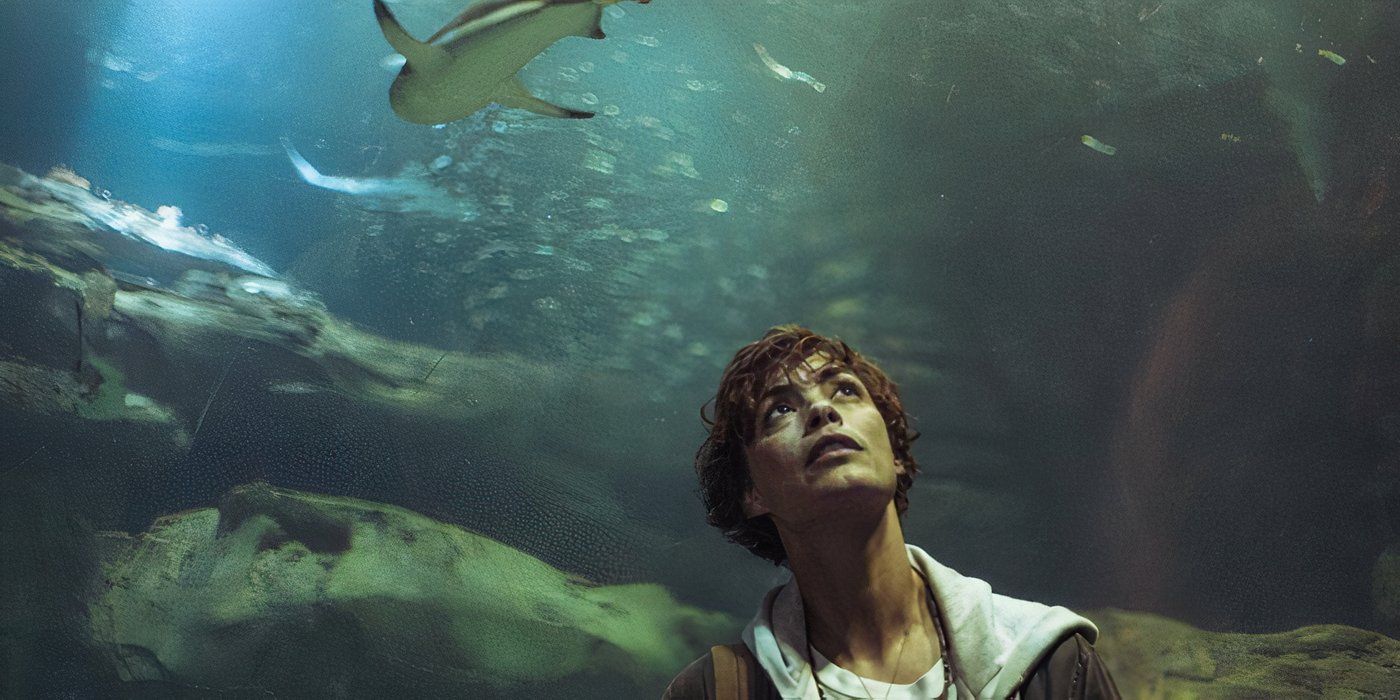 10 Scary Shark Movies Inspired By Real Events