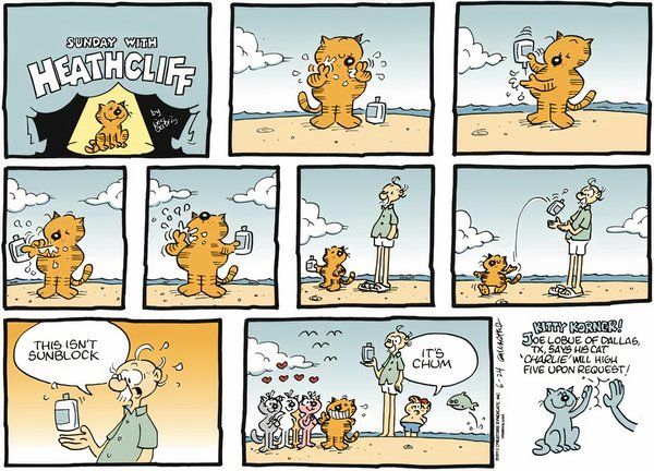 10 Comic Strip Cats Funnier Than Garfield