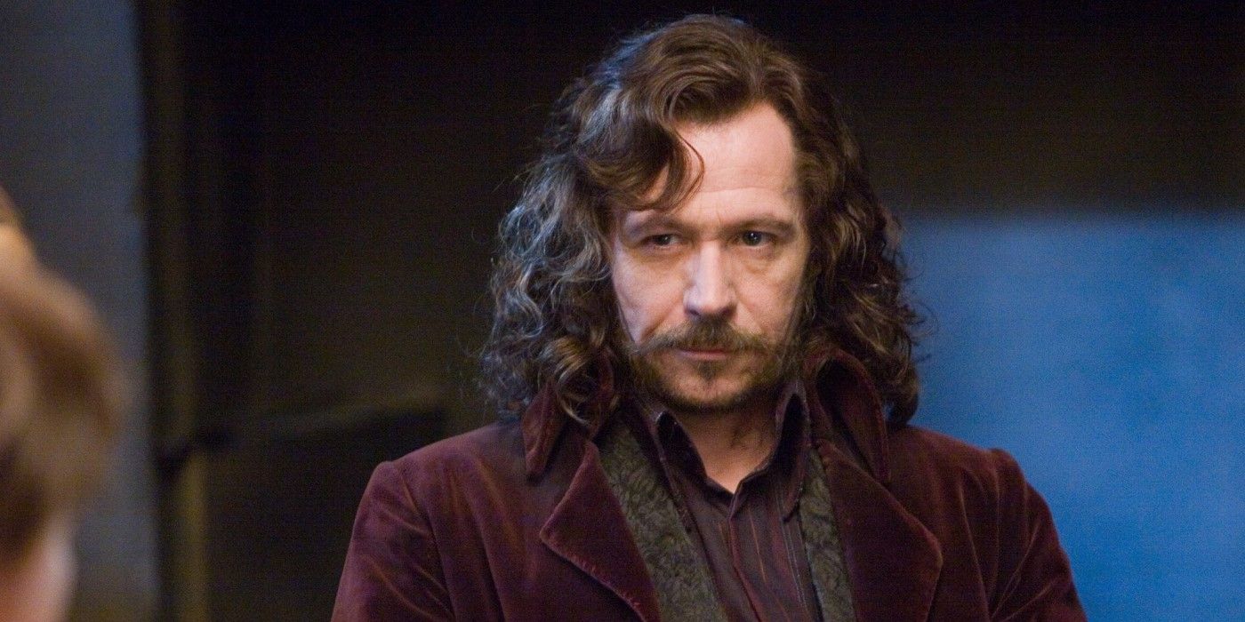 Gary Oldman plays Sirius Black in Harry Potter and the Order of the Phoenix.