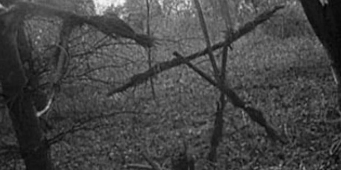 The Blair Witch Project Is More Psychological Than Scary