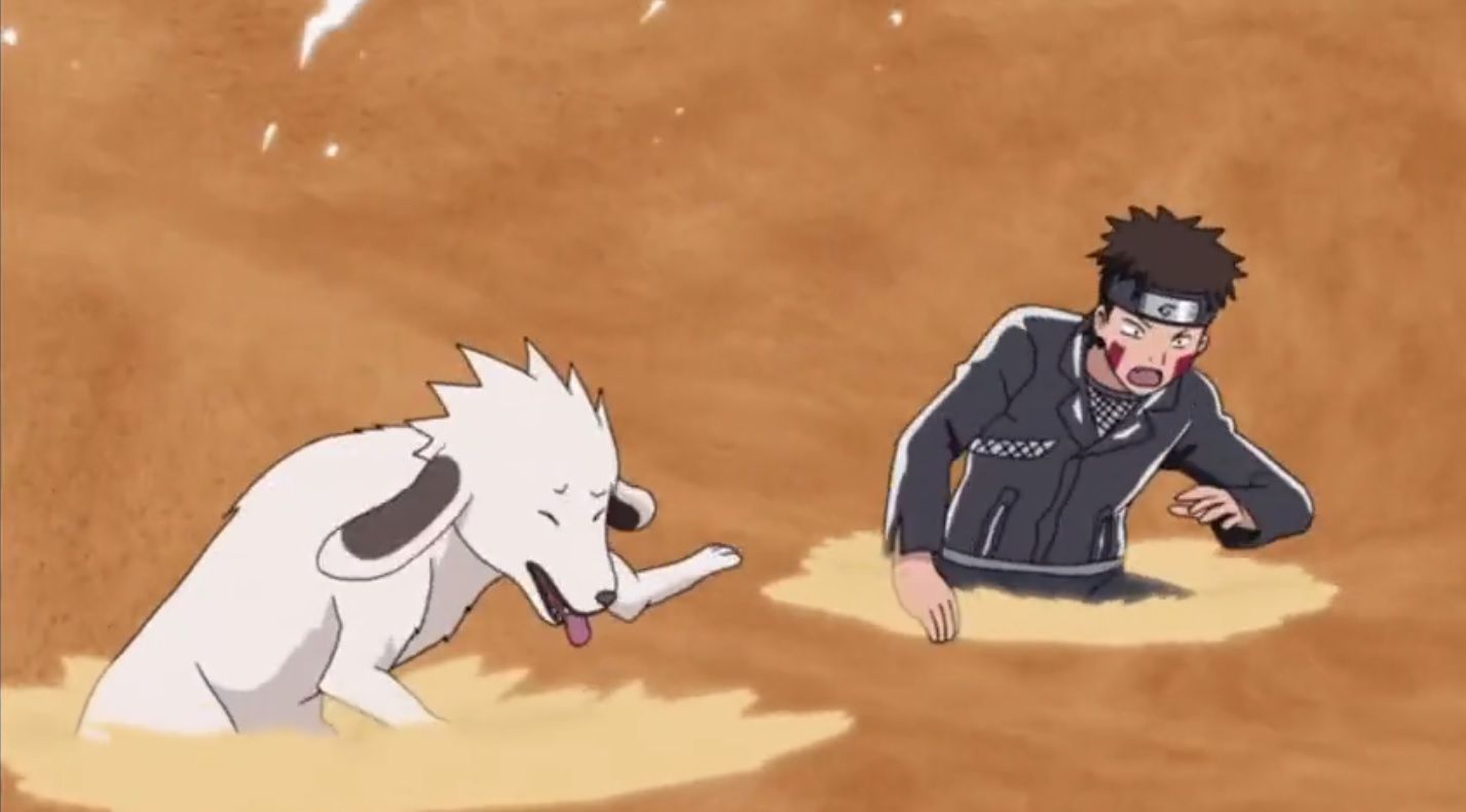 Akamaru's Canine Antics Command Attention in These Naruto Moments