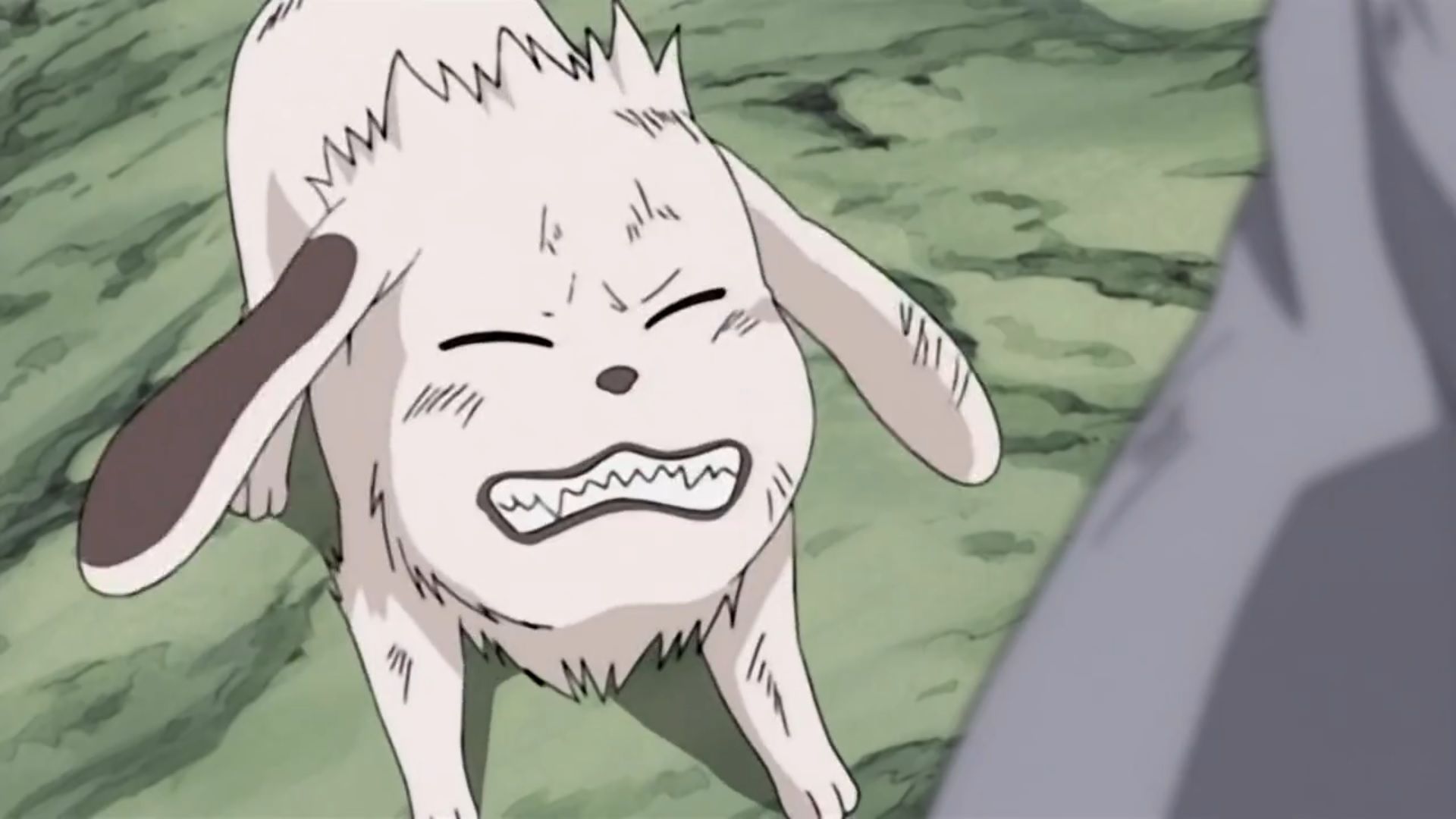 Akamaru's Canine Antics Command Attention in These Naruto Moments