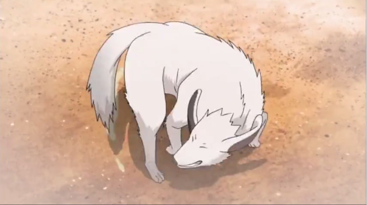 Akamaru's Canine Antics Command Attention in These Naruto Moments