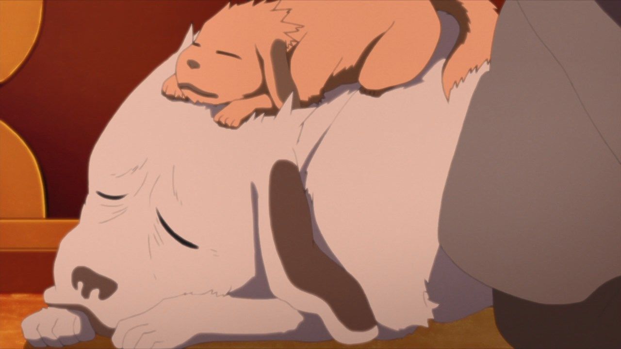 Akamaru's Canine Antics Command Attention in These Naruto Moments