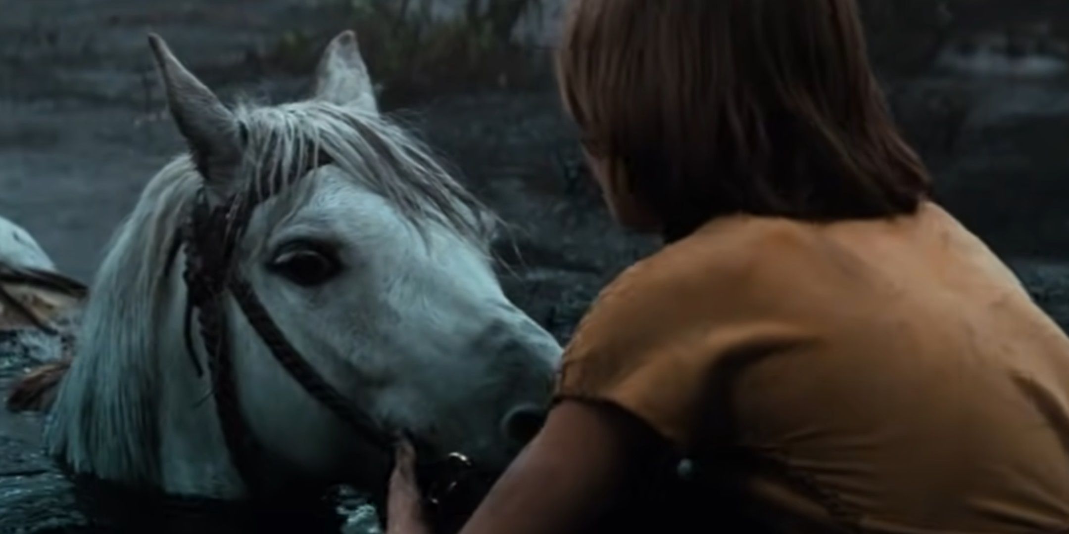 Did the Horse in The NeverEnding Story Have a Tragic End in Real Life?