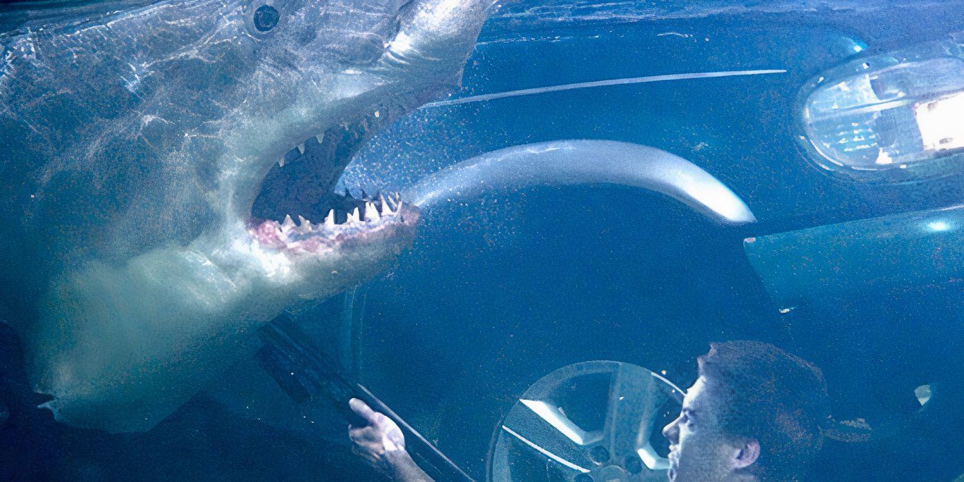 10 Best Shark Movies Since 2000, Ranked