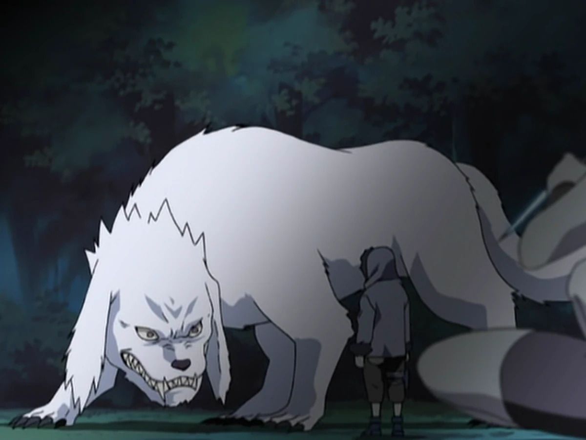 Akamaru's Canine Antics Command Attention in These Naruto Moments