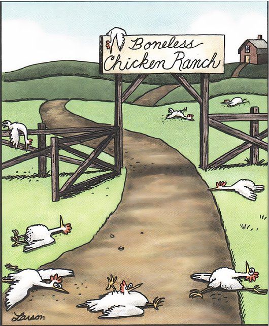 10 Best The Far Side Comics Featuring Farm Animals