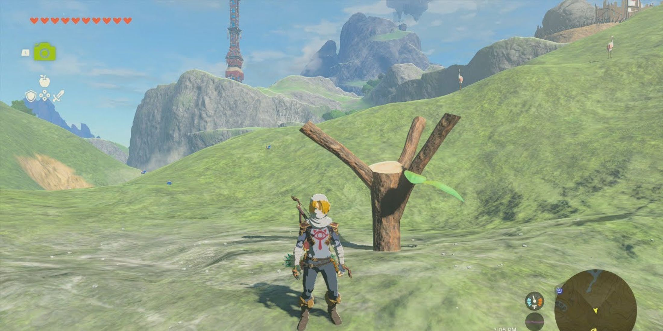 Every Korok Seed Puzzle In Tears of the Kingdom